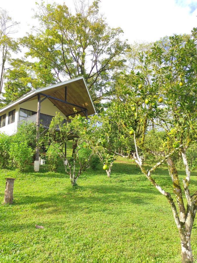 Hacienda Mil Bellezas - Private 40Ha Jungle Reserve Quepos Værelse billede