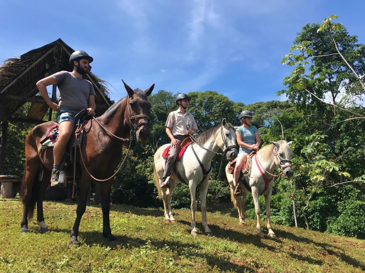 Hacienda Mil Bellezas - Private 40Ha Jungle Reserve Quepos Eksteriør billede