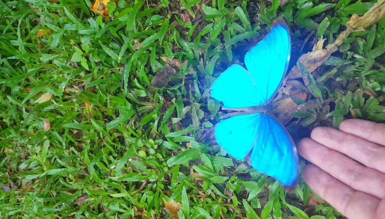 Hacienda Mil Bellezas - Private 40Ha Jungle Reserve Quepos Eksteriør billede