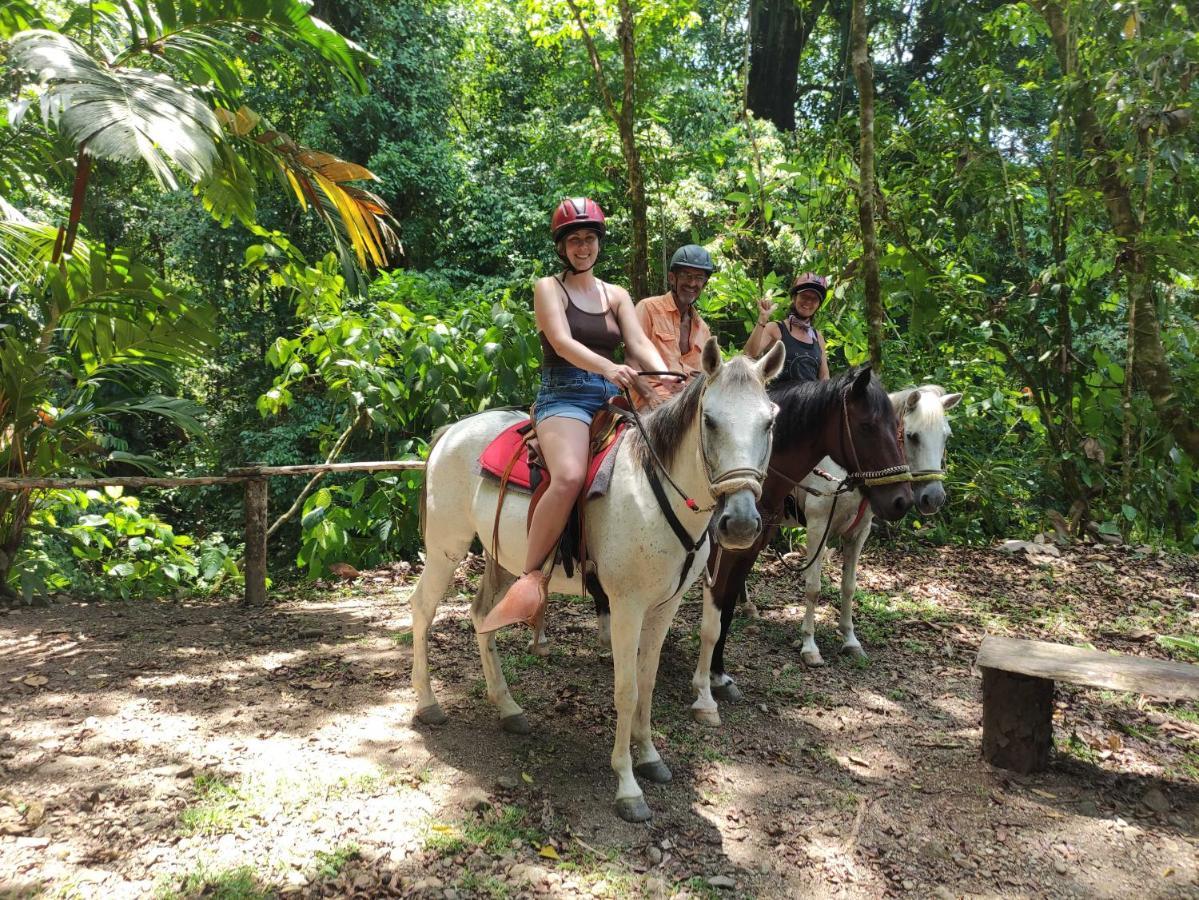Hacienda Mil Bellezas - Private 40Ha Jungle Reserve Quepos Eksteriør billede