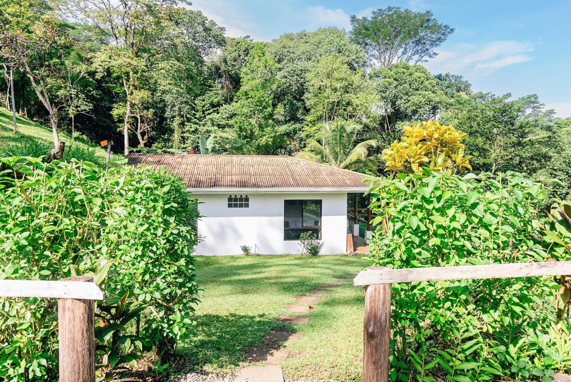 Hacienda Mil Bellezas - Private 40Ha Jungle Reserve Quepos Værelse billede
