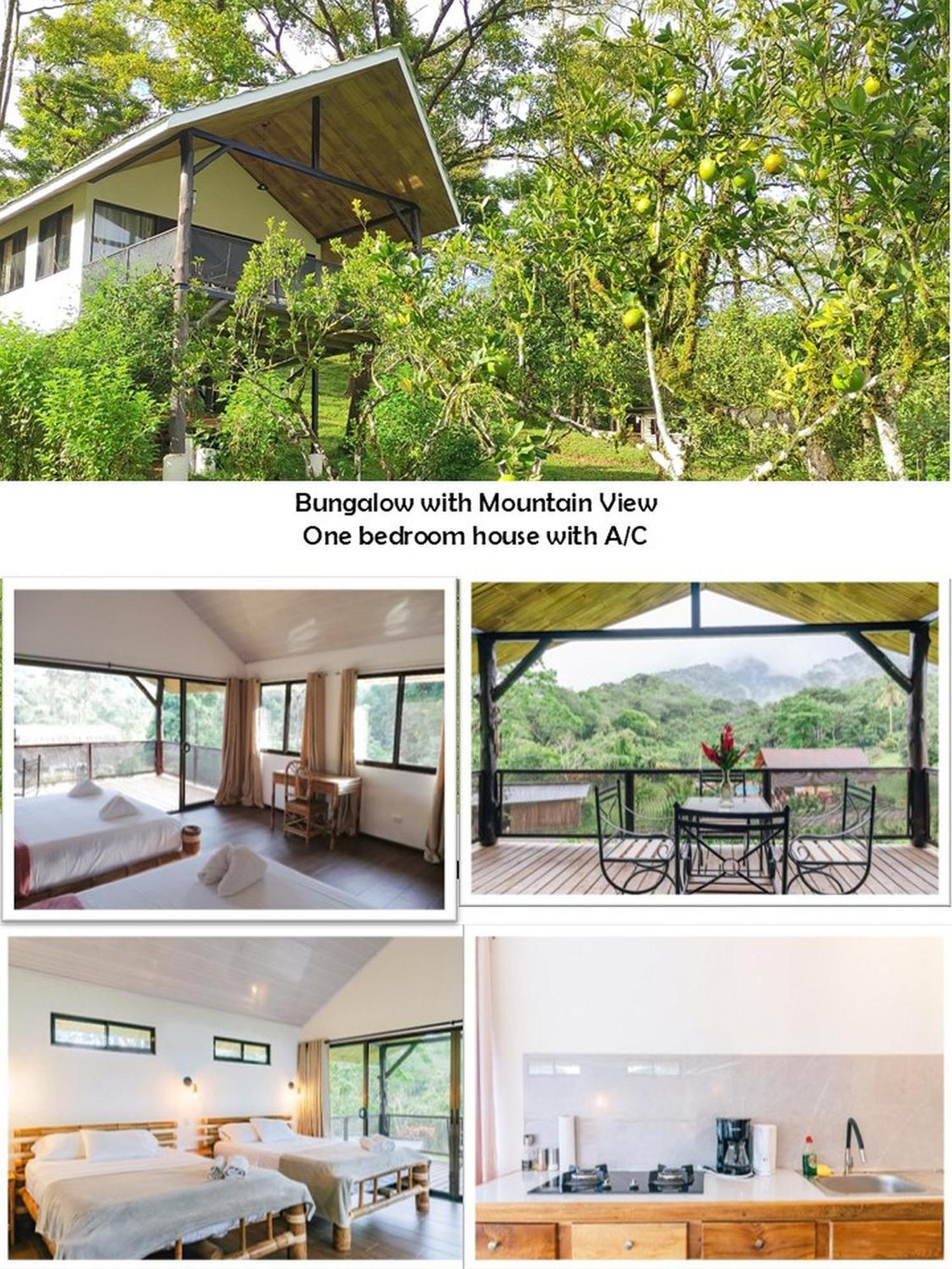 Hacienda Mil Bellezas - Private 40Ha Jungle Reserve Quepos Eksteriør billede