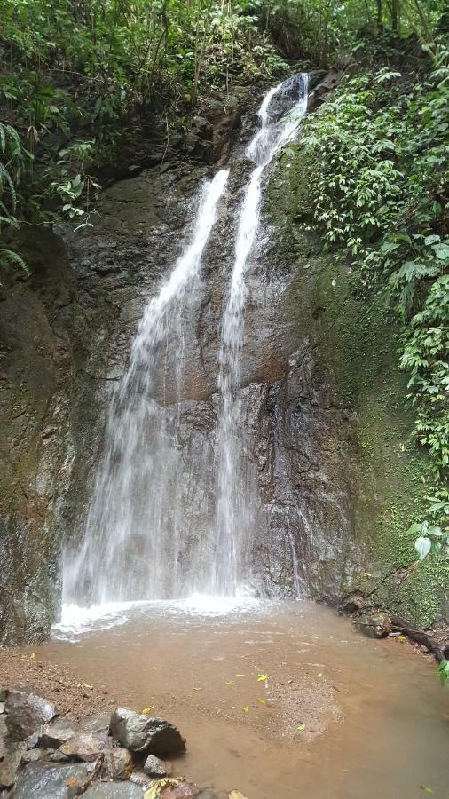 Hacienda Mil Bellezas - Private 40Ha Jungle Reserve Quepos Eksteriør billede