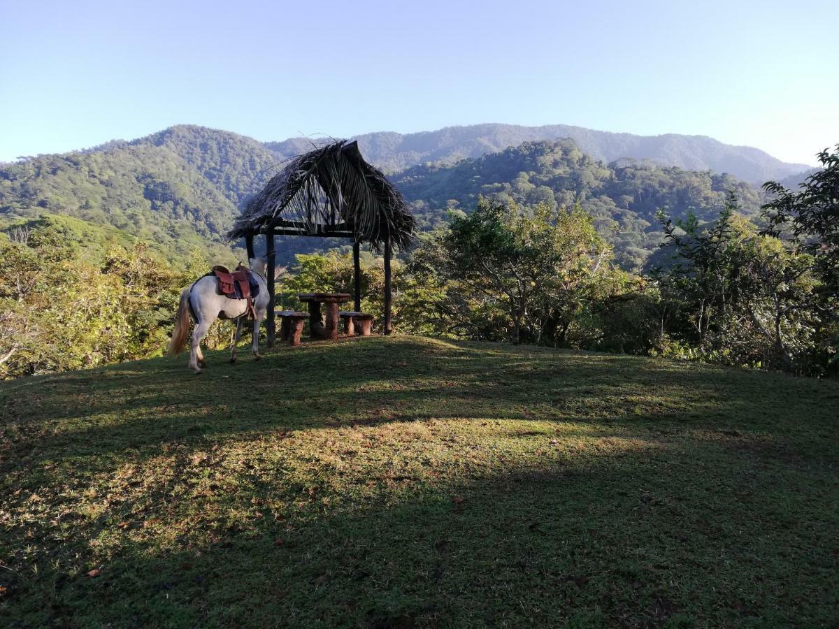 Hacienda Mil Bellezas - Private 40Ha Jungle Reserve Quepos Eksteriør billede