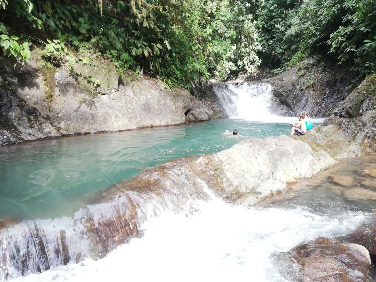 Hacienda Mil Bellezas - Private 40Ha Jungle Reserve Quepos Eksteriør billede